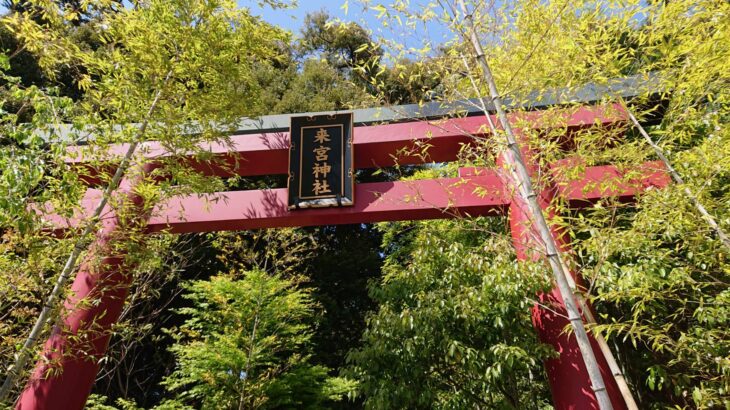 来宮神社(静岡県熱海市)