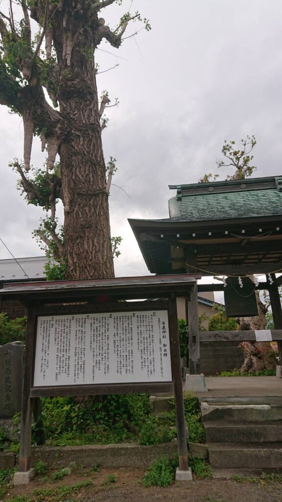 相模十三社めぐりの有鹿神社を参拝しました 幸せな生活を願って パワースポット巡り
